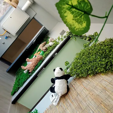 Sicilyjungle *